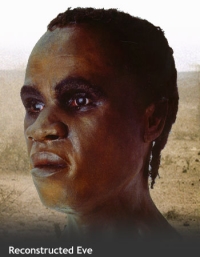 Mitochondrial Eve, ca. BCE 125,000 (bradshawfoundation.com)
